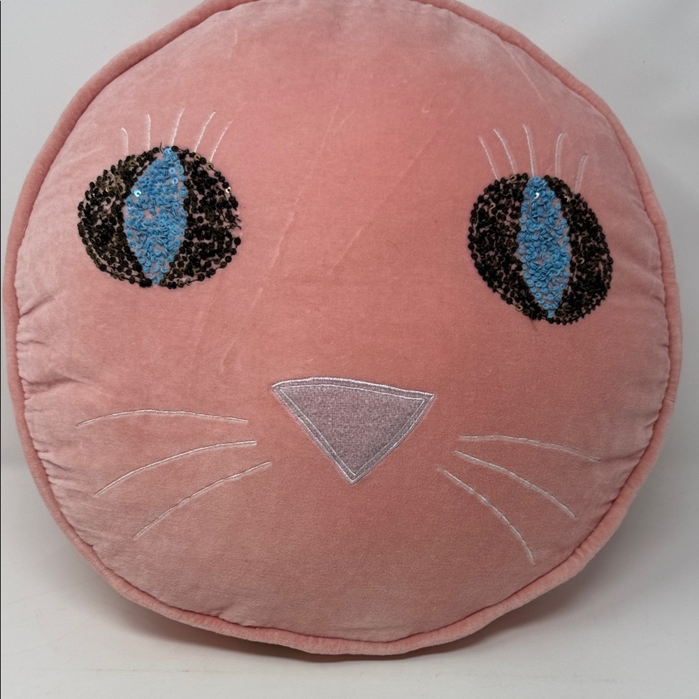 Pink Cat Face Pillow 16”long x 2” thick Very Soft. -zipper on back. Kids ToY
